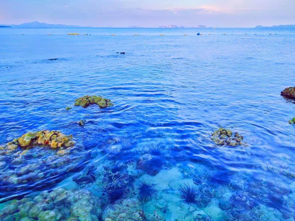 The Reef Resort Koh Kradan Luaran gambar